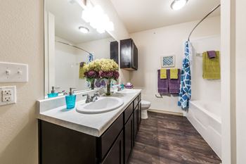 Oval soaking tubs or walk-in showers